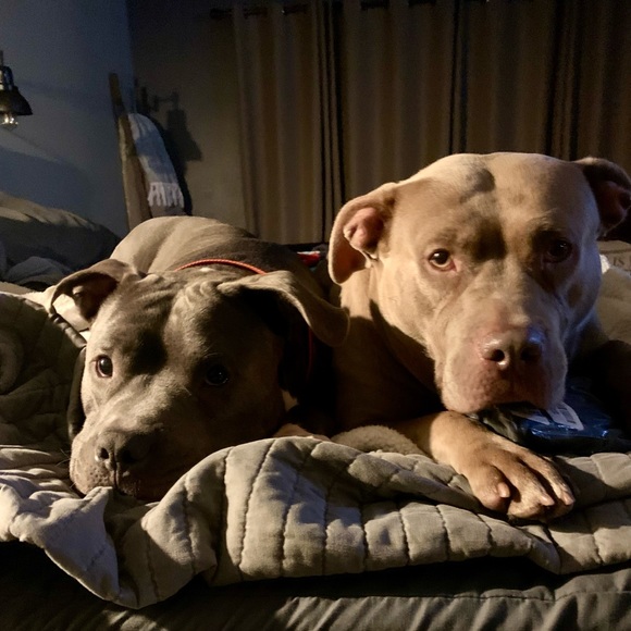 Meet your Posher, Debbie - Picture 6 of 6